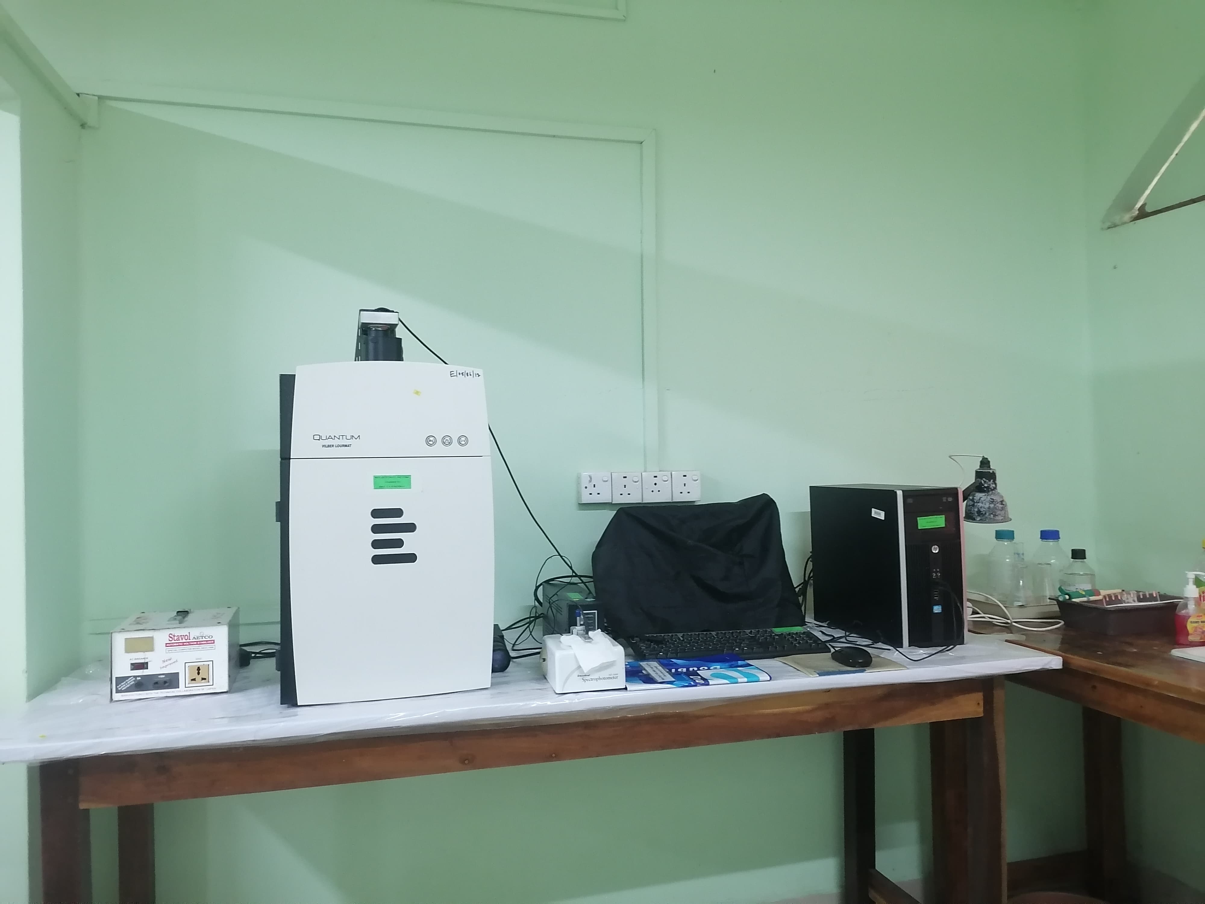 Molecular Laboratory